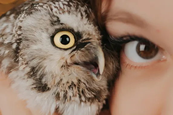 VegasWild Casino Soporte